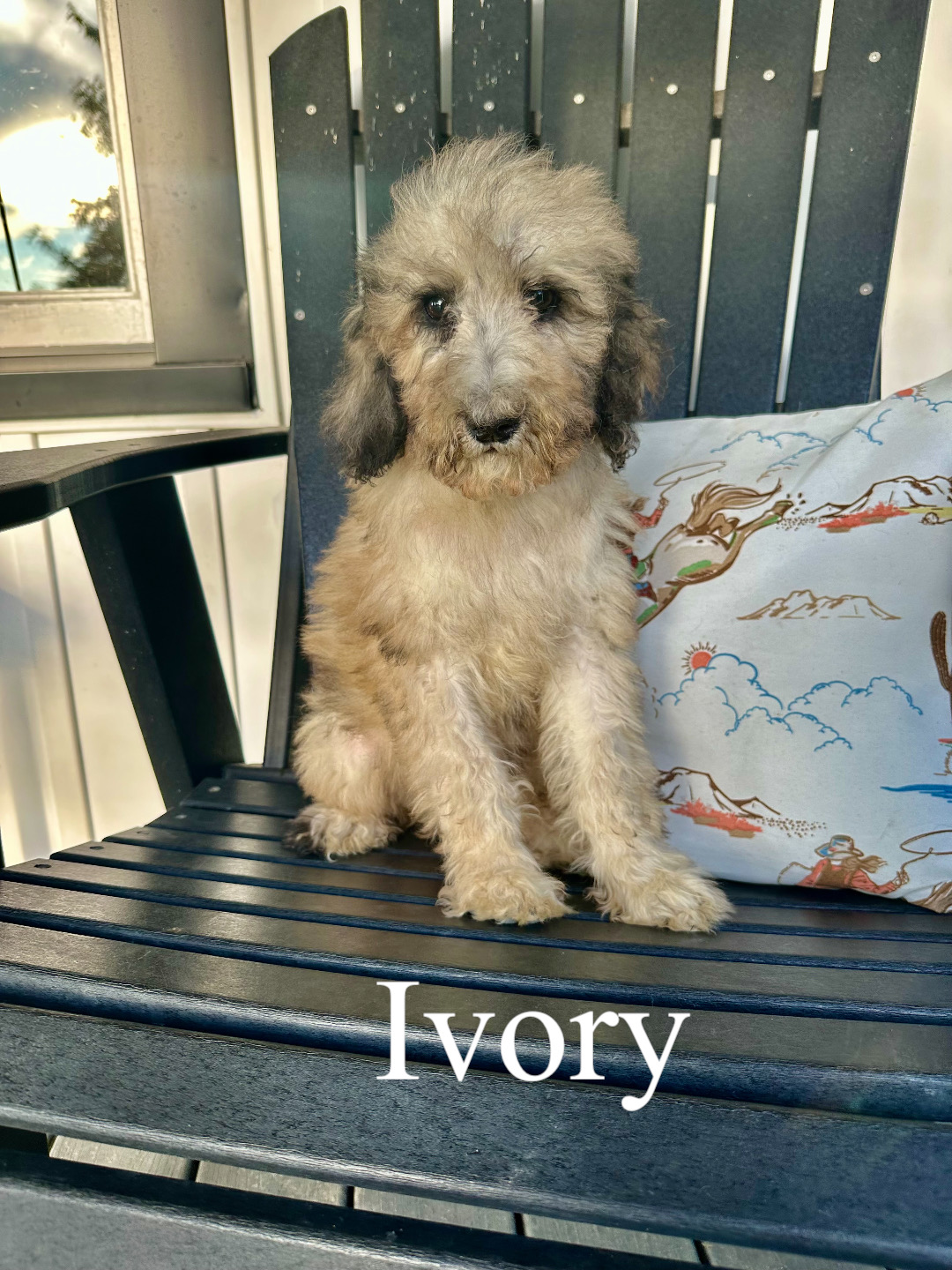 Ivory  1
